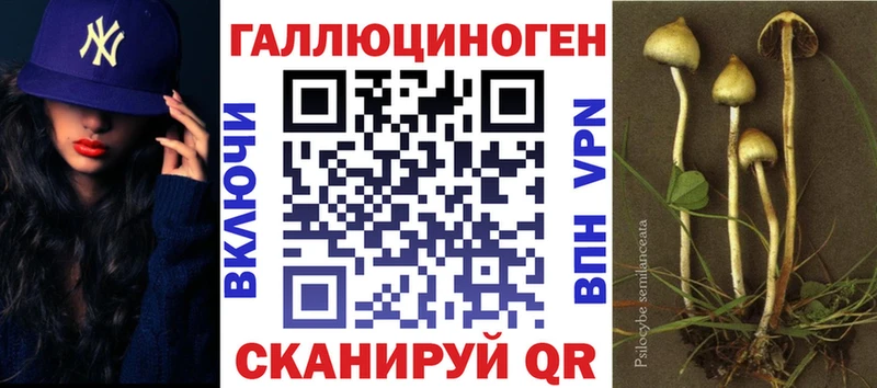 Псилоцибиновые грибы мухоморы  где найти наркотики  Шлиссельбург 